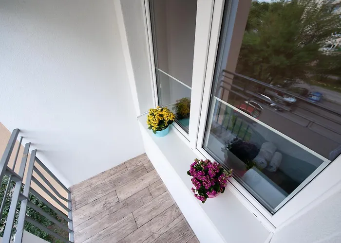 1 Blisko Atlas Areny, Zoo Oraz Orientarium Daire