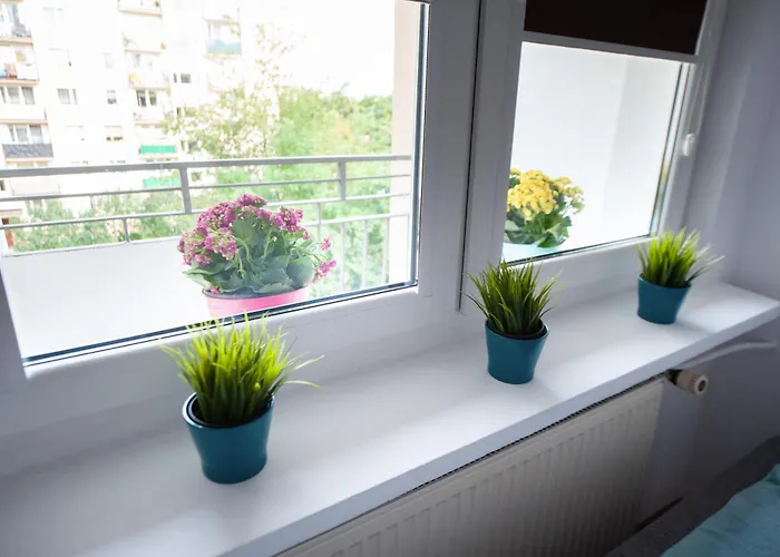 1 Blisko Atlas Areny, Zoo Oraz Orientarium Appartement Łódź